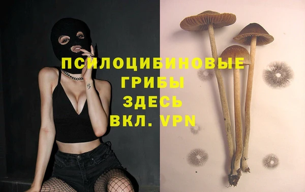 кокс Алексеевка