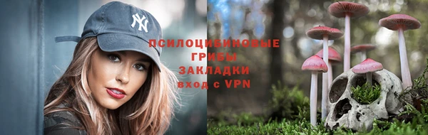 mdpv Алзамай